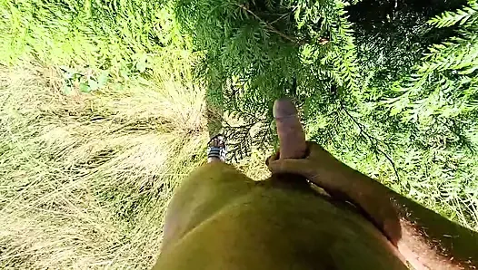 Bir tarlada ve bitkilere boşalma, remi06cam4