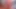 seksi hatun sexydea iç çamaşırlı tutkulu mastürbasyon yapıyor