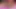 Üç seksi busties lezbiyenler zevk almak içinde the havuz