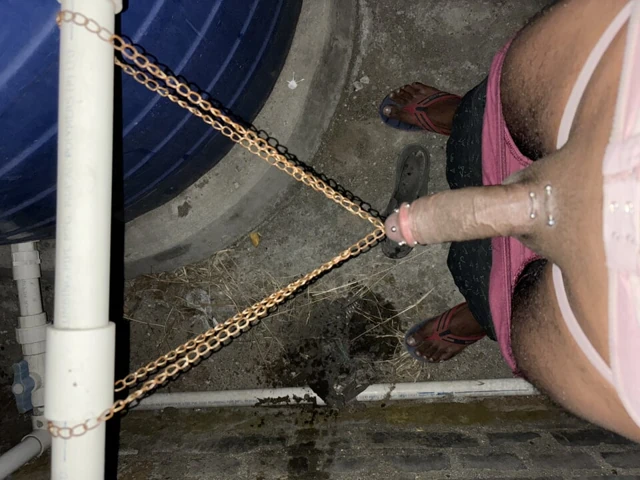 Bdsm Hintli yarak