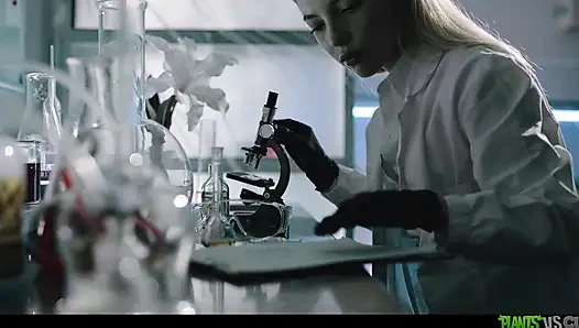 Bitkiler amcıklara karşı cilt 10