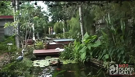 Paradise Dallas ve Owen'da ayılar