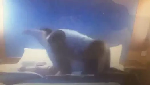 Otel kaba sikme bölüm 2