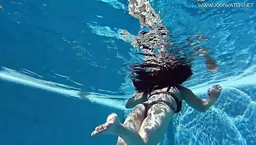 Sheril çiçeği sıcak Rus sualtı