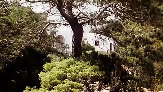 İbiza'da Sıcak Seks (1982)