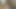 Bacaklı Ve Büyük Şişeli Zenci Kızı Sikiyor