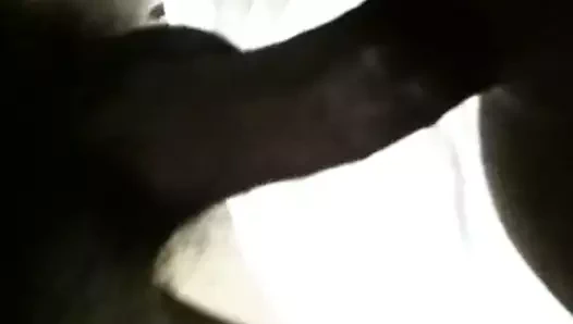 Ma femme et sa grosse chatte