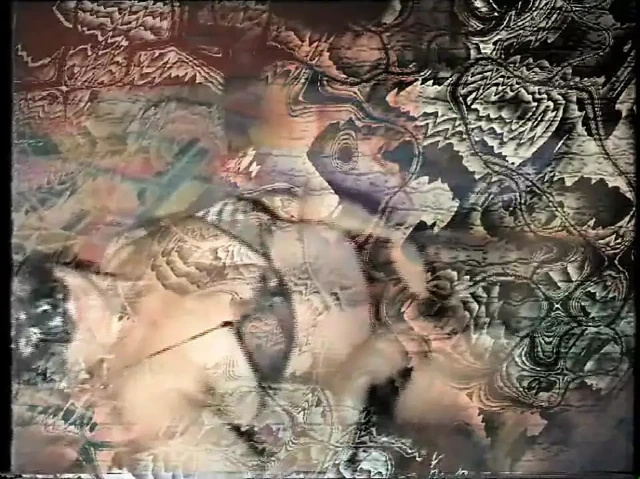 Cosenza'ya sevgiler!