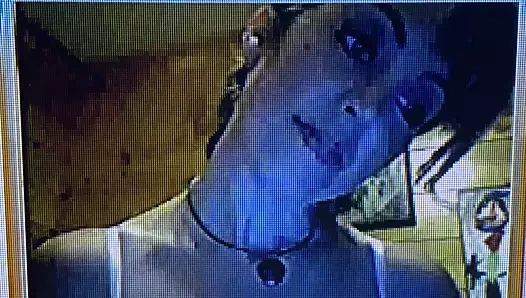 Milf bana mal gösterir 2