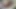 Big dick in big chubby hairy milf pussy