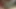 CUCK4K. Zengin yarak düşkünü karısı bahçıvanla sikişiyor