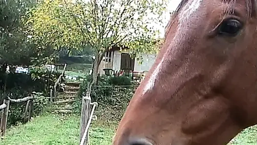 Kızgınlık dönemindeki bir fahişenin anal arzuları