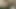 2021 png çifti eğleniyor #7