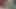 Trans kız gavat arkadaşıyla telefonda konuşurken trans kız arkadaşının yarağını emiyor.