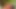Büyük etli süngülü bir adam bu seksi sürtüklerin küçük göğüslerine boşalıyor