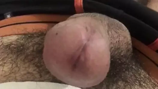 Zabi - Zab Algerien Niyak