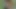 Üç seksi öğrenci kızlar sikme siyah adam
