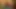 Hamsterboys'dan sperm avcıları miro gaspar ve patrik janovic