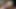 4 Aria Khaide sağım videoları