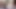 Tatlı karneli bandi senin için dildo emiyor ve minik amcığını esnetiyor