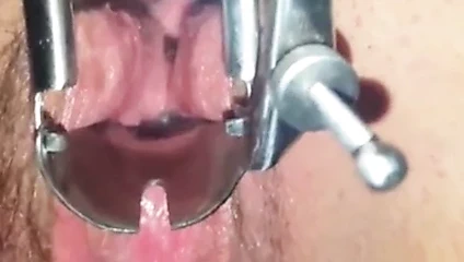 İçinde sıcak seksi kedi