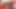 Islak ve kabarık tarafından stela anal