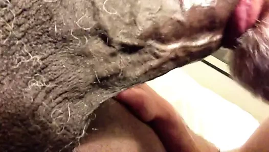 Keçi sakallı baba siyah babasının aletini emiyor