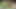 Abella Danger ve Payton Preslee'nin havuzun kenarında ona binişini izlemekten daha iyi bir şey yok - mofos