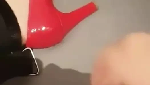 Steffi'nin bazı horozlara ihtiyacı var