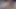 Medi bazı fotoğraflar için kuyruğunu sallıyor
