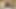 Kitten gece yarısı büyük memeli ve azgın üvey annemle yalnız