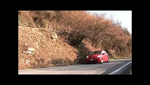 Cronache di un Vecchio Porco (Full Movie)