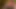 santas little helper under the Christmas tree now in full 4K high quality Ultra HD