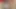 Hint kraliçesi reema'nın yeni yıl öncesi kutlama fragmanı