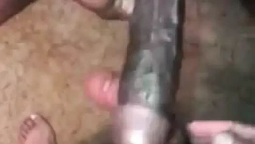 Kılıç dövüşü tomurcukları