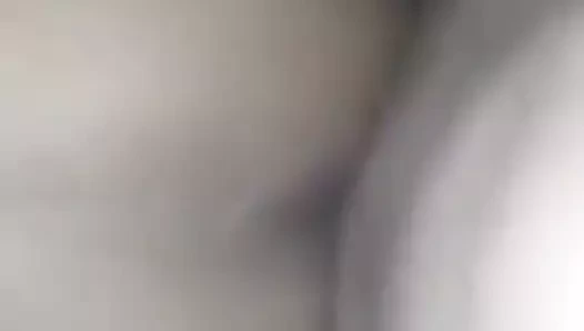 Abanoz redbone puma gelen yol