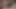 Fresh Pink Reveal. Samimi aralıkta geniş açık yakın çekim gözlemi