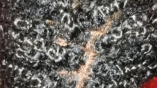 Çarpıcı genç zenci evangelical sıkı amcığına büyük bir yarak alıyor