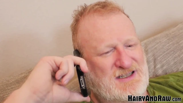 Hairyandraw sakallı avi strider olgun paslı mc mann tarafından yetiştiriliyor