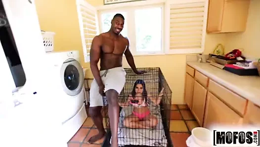 Mofos.com - kylie rose - beni kırma