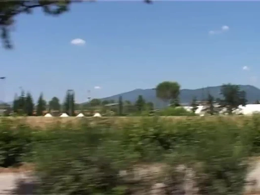 Bu yarağı al ve kaç