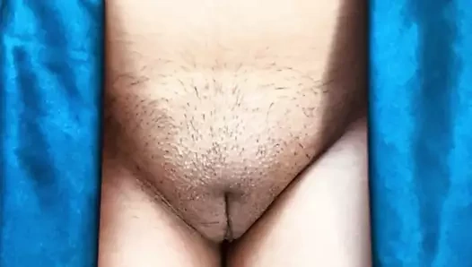 Hintli kıllı amcık