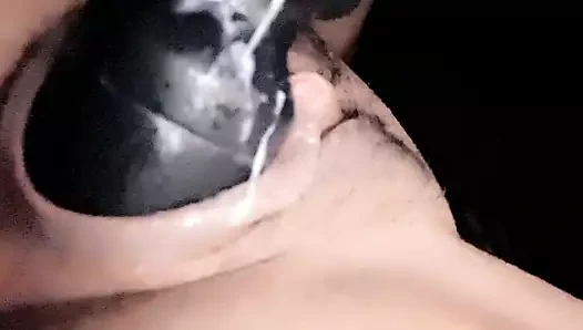 Küçük ıslak kedi ii