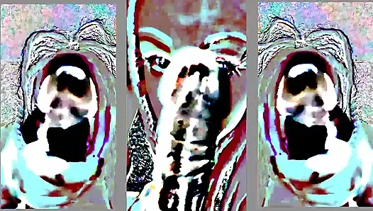 Seni büyük zenci yarağı cumdumpster sexdoll'a dönüştürüyor
