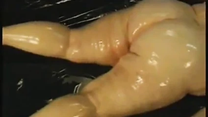 Şişman çift yağlı güreş ve hardcore seks