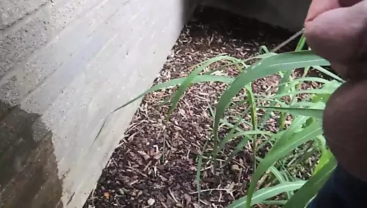 Ben insanlarla parklarda 8 kez işemek