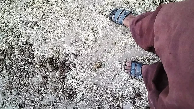 Транссекс с хуищным хуем, дрочка и дрочка, транссекс с хуиной, хуище, хуище