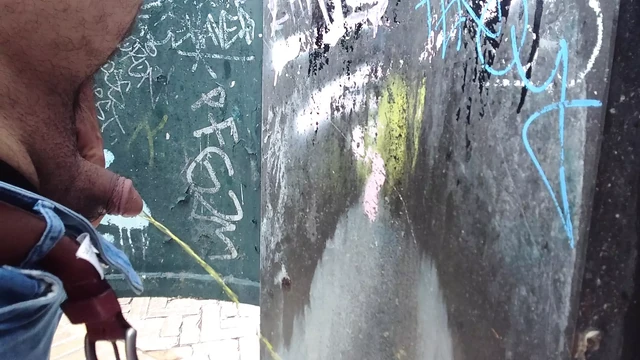 Писсуар на улице. Возбужденный медведь, тяжелая работа. Мини-пухлая