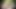 Elf Girl in the Forest: Anal Play & Dildo Fun