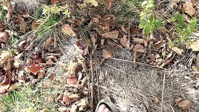 Mükemmel Vücutlu Minik Minyon Hana